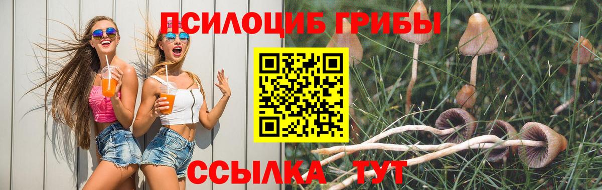 Галлюциногенные грибы прущие грибы  Псилоцибиновые грибы Magic Shrooms  Чехов  Вход с VPN 