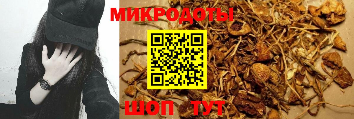 Галлюциногенные грибы прущие грибы Чехов
